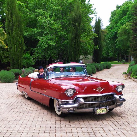 59418938_2308918609389924_5827215355797307392_o